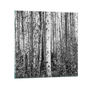 Quadro em vidro - Colunata de bétula - 30x30 cm