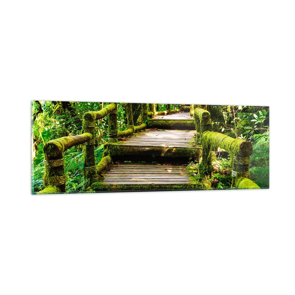 Quadro em vidro - Corredor de vegetação - 90x30 cm