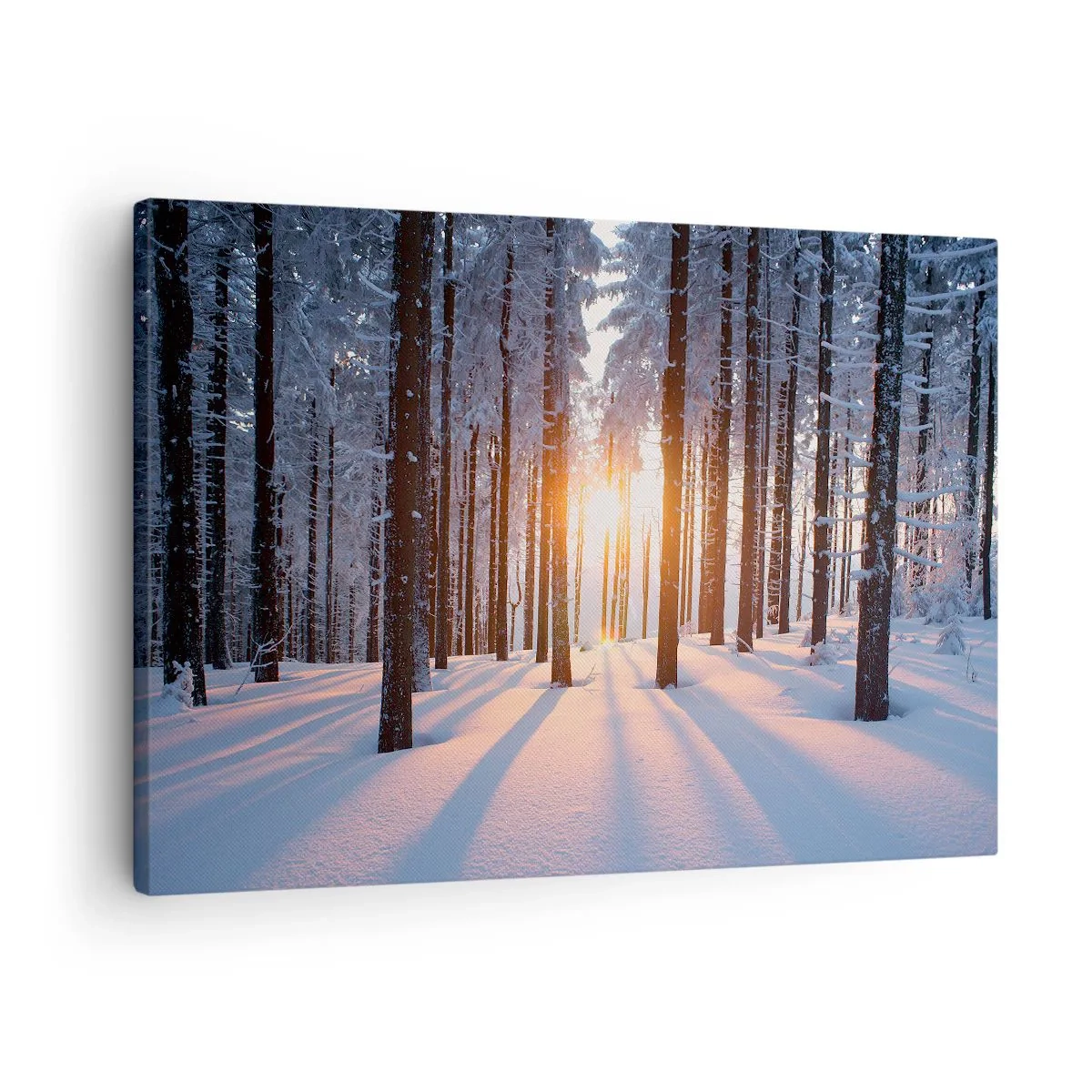 Quadro em tela - Floresta de inverno iluminada pelos raios do sol - 70x50cm - Preto no branco - Decoração de parede moderna para a sala de estar e quarto ARTTOR