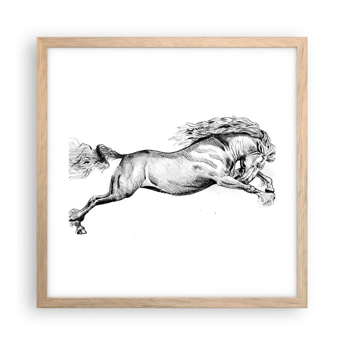 Pôster com moldura de carvalho claro - Parado a galope - 40x40 cm