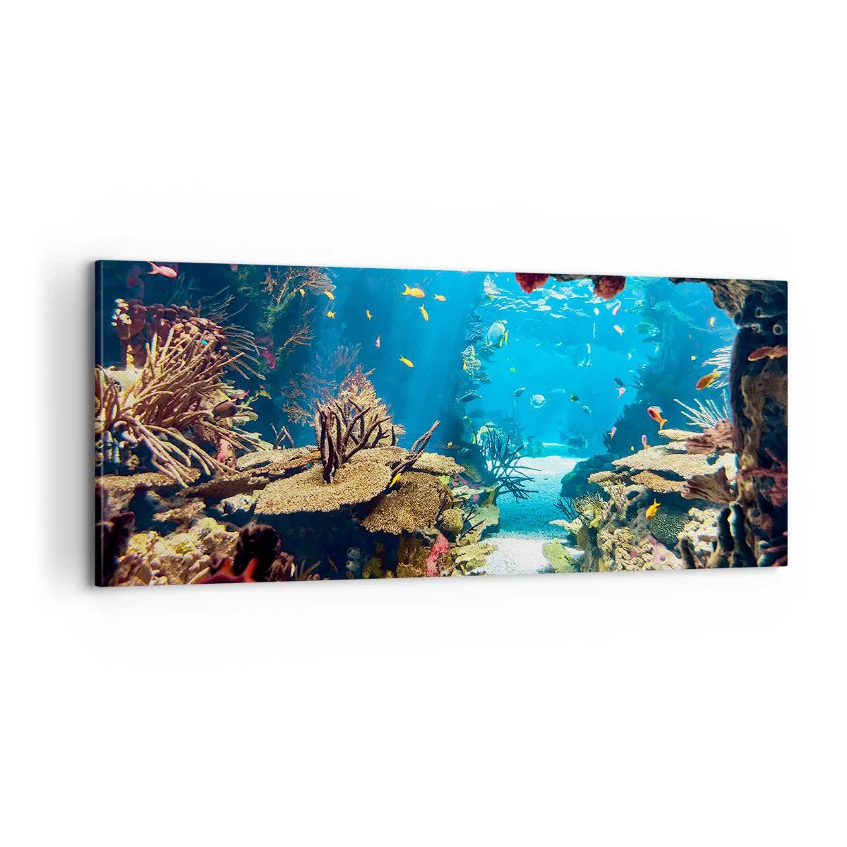 Quadro em tela - Mais belo que um sonho - 100x40 cm