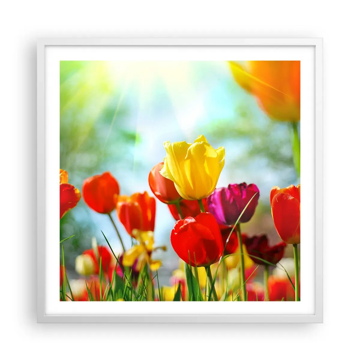 Pôster em moldura branca - Todas as cores do sol - 60x60 cm