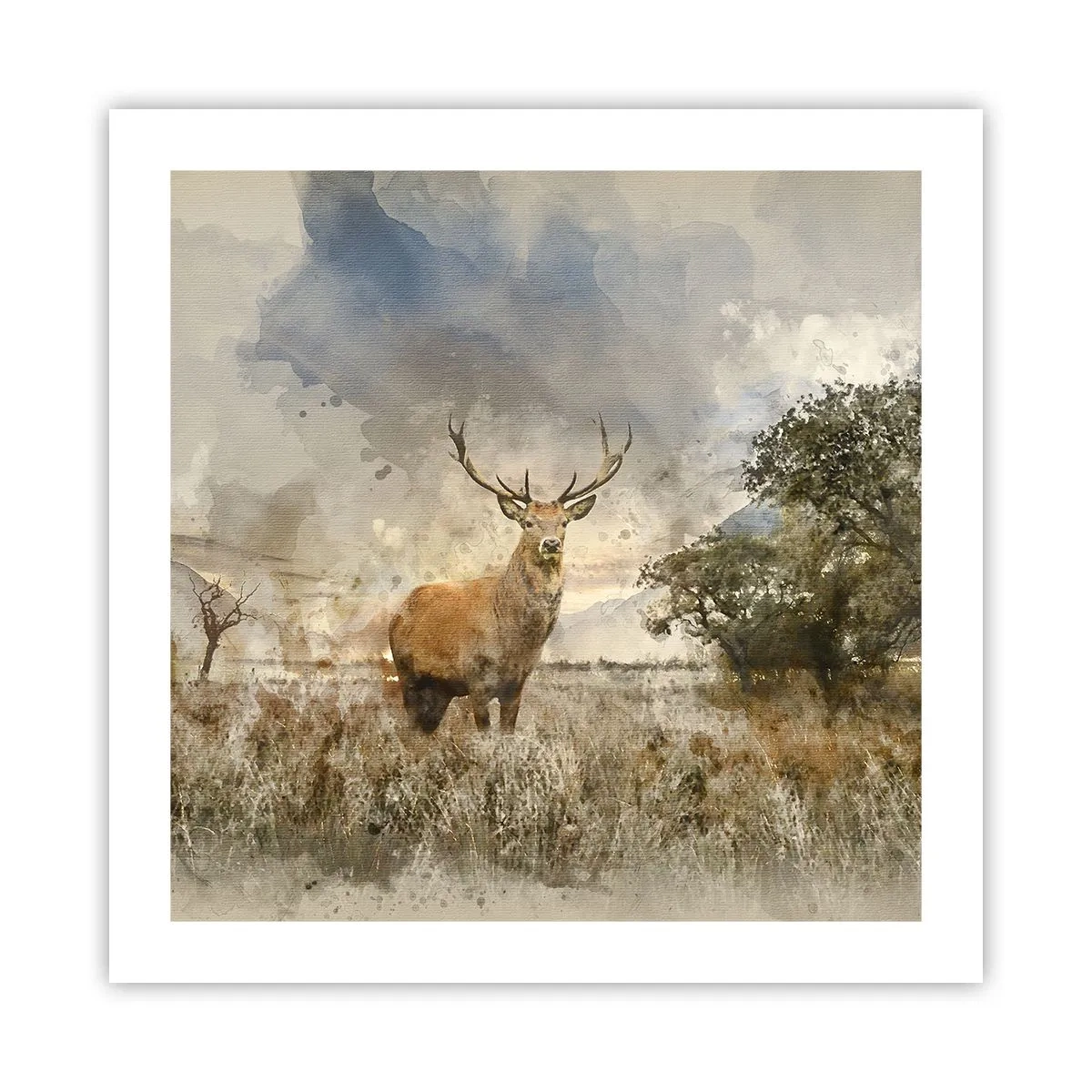 Pôster - Dignidade - força - dignidade - 50x50 cm