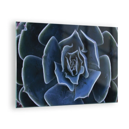 Quadro em vidro - Fotografia macro de uma suculenta em tons de azul frio - 70x50cm - Flor do deserto - Decoração de parede moderna para a sala de estar e quarto ARTTOR