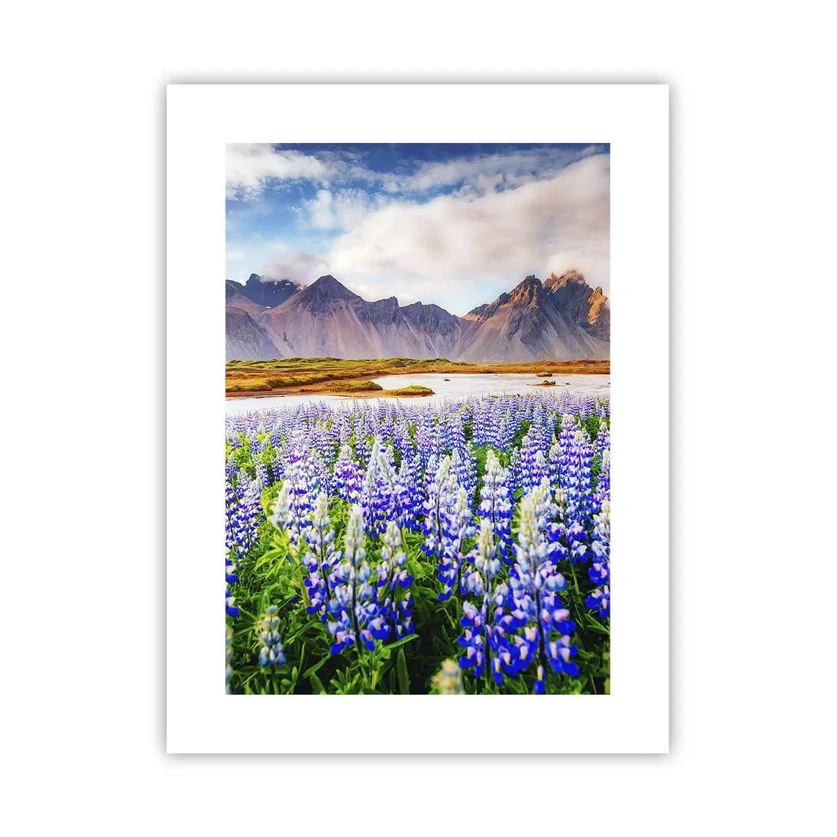 Pôster - Força e severidade ao lado da suavidade - 30x40 cm