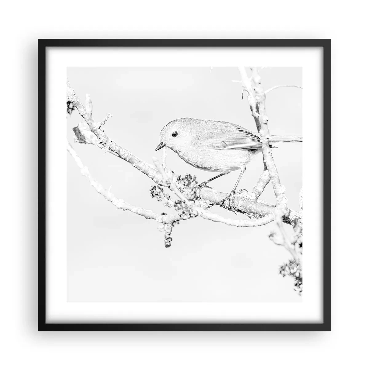 Pôster com moldura preta - Manhã de inverno - 50x50 cm