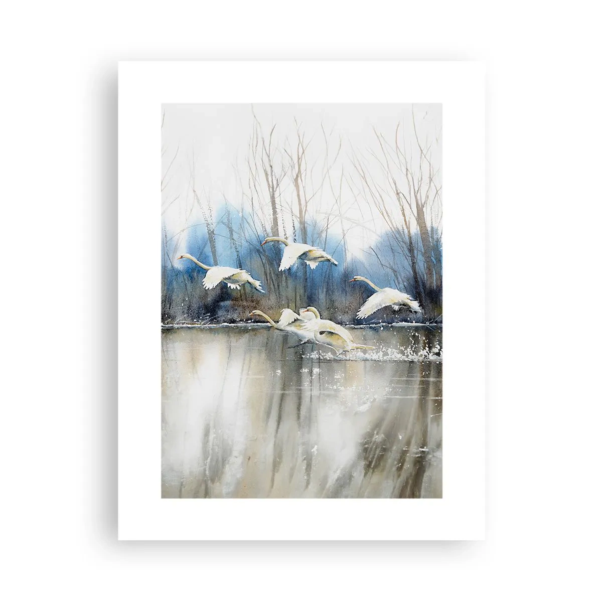 Pôster - Como no conto de fadas sobre cisnes selvagens - 30x40 cm