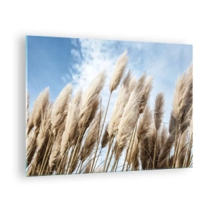 Quadro em vidro - Gramíneas decorativas de pampas contra um céu azul - 70x50cm - Carícia ensolarada e ventosa - Decoração de parede moderna para a sala de estar e quarto ARTTOR