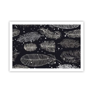 Pôster - Rendas de penas - 91x61 cm