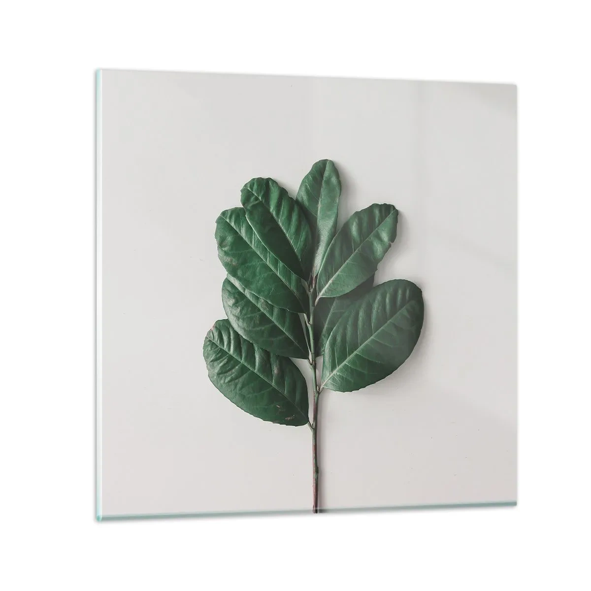 Quadro em vidro - Desenho da própria natureza - 50x50 cm