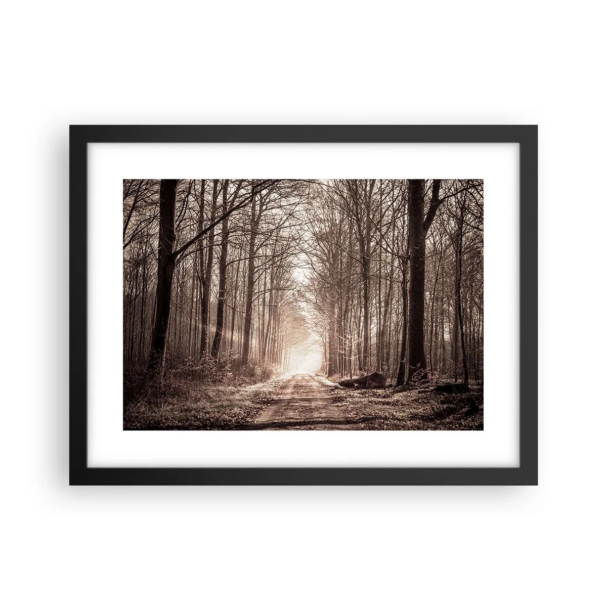 Pôster com moldura preta - Catedral na Floresta - 40x30 cm