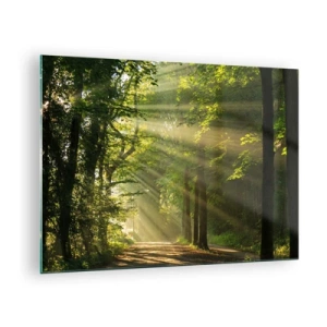 Quadro em vidro - Um caminho na floresta iluminado pelos raios do sol - 70x50cm - Momento florestal - Decoração de parede moderna para a sala de estar e quarto ARTTOR