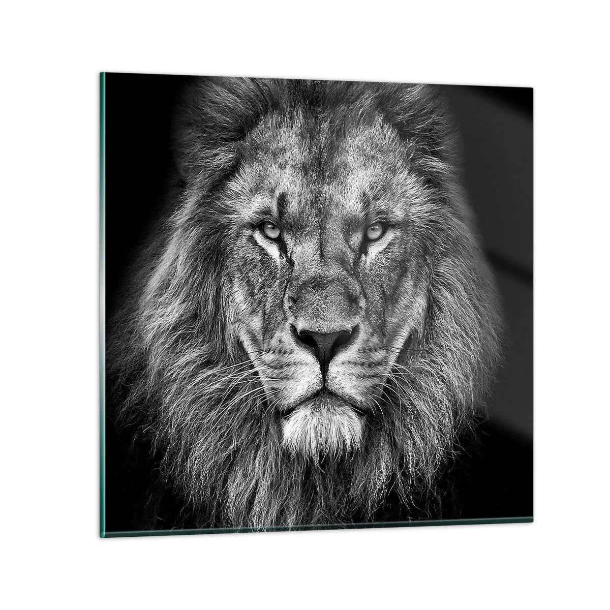 Quadro em vidro - Em trajes de coroação - 40x40 cm