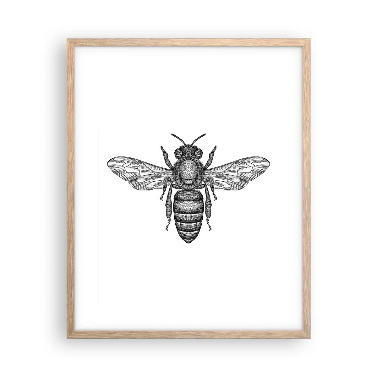 Pôster com moldura de carvalho claro - Retrato de um inseto - 40x50 cm