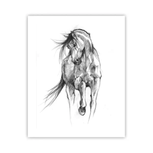 Pôster - Num trote gracioso - 40x50 cm