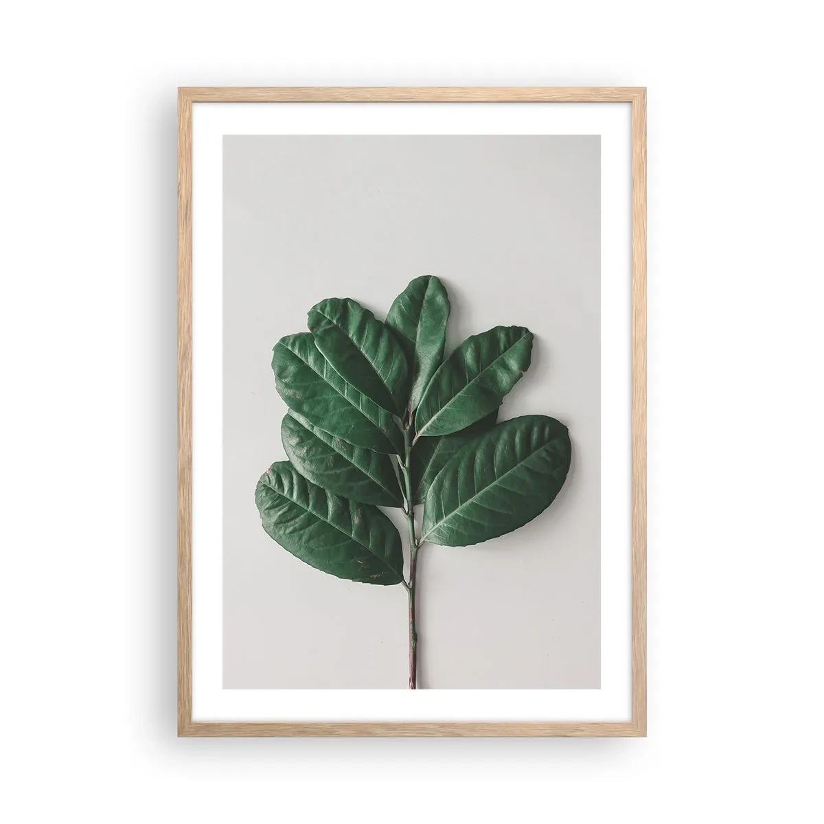 Pôster com moldura de carvalho claro - Desenho da própria natureza - 50x70 cm