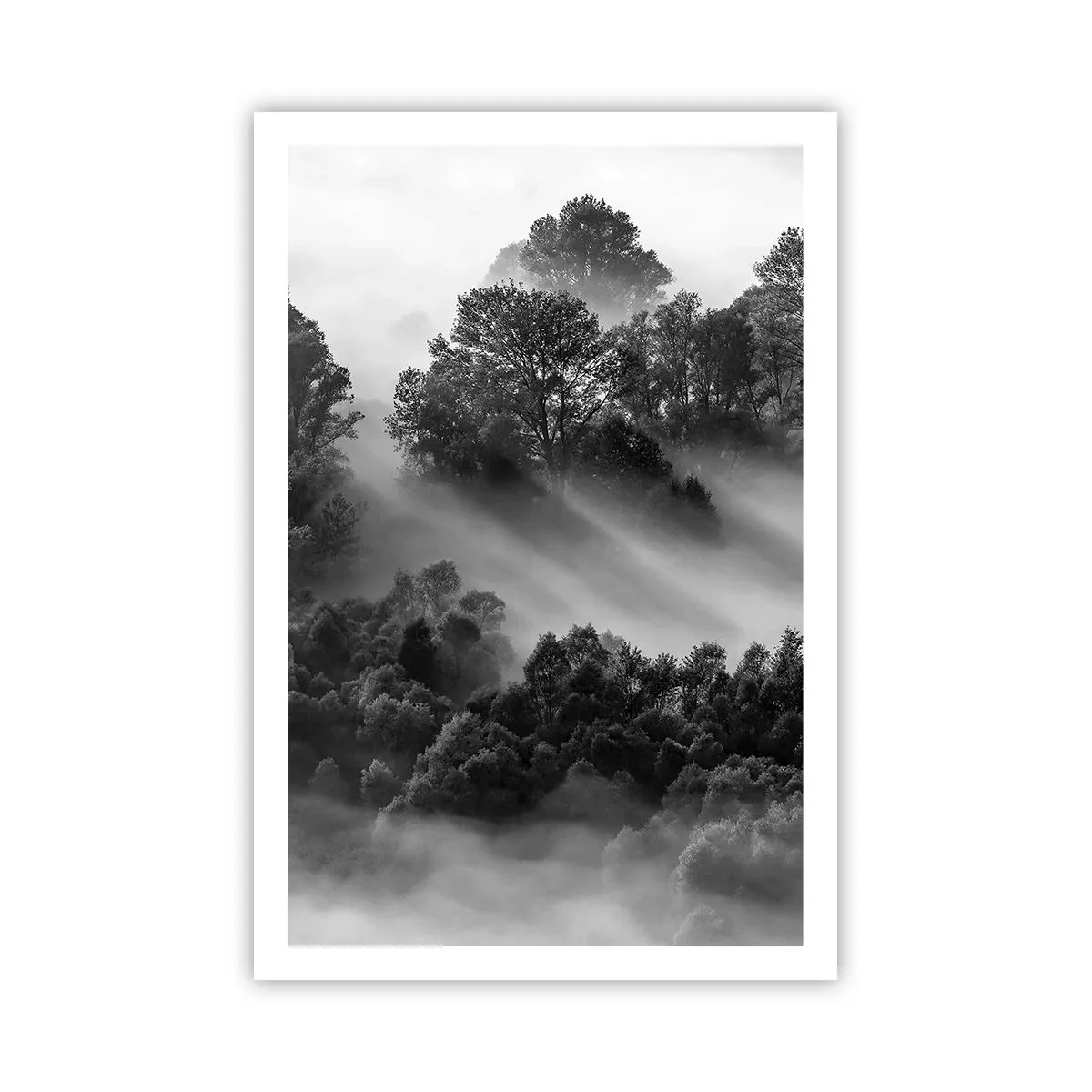 Pôster - Levantar-se do sono - 61x91 cm