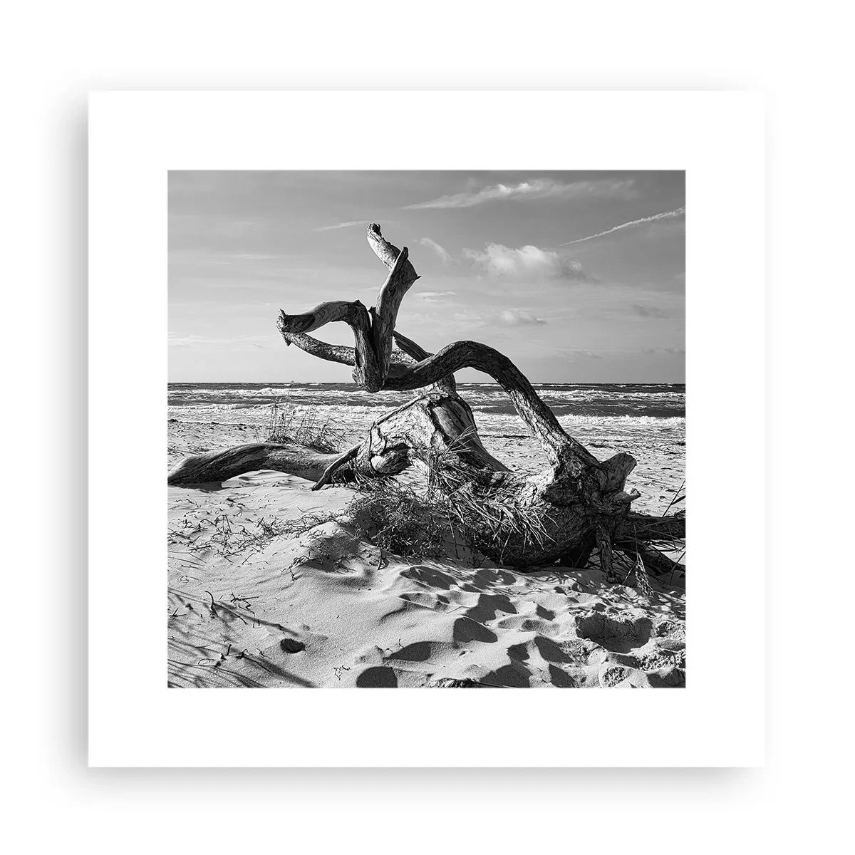 Pôster - Escultura do mar - 30x30 cm