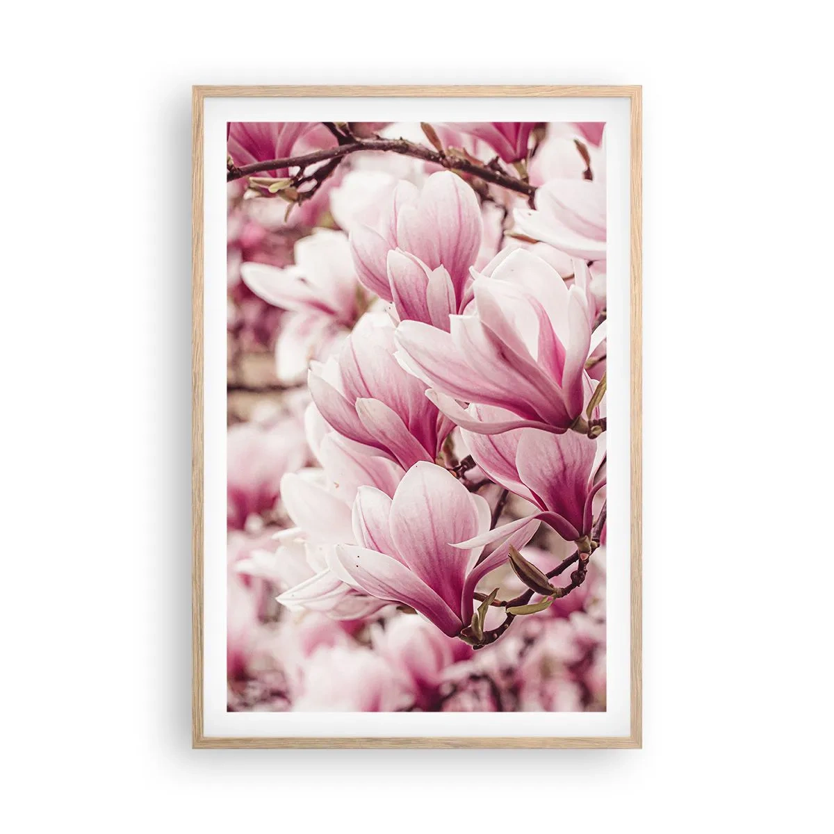 Pôster com moldura de carvalho claro - A primavera é rosa - 61x91 cm