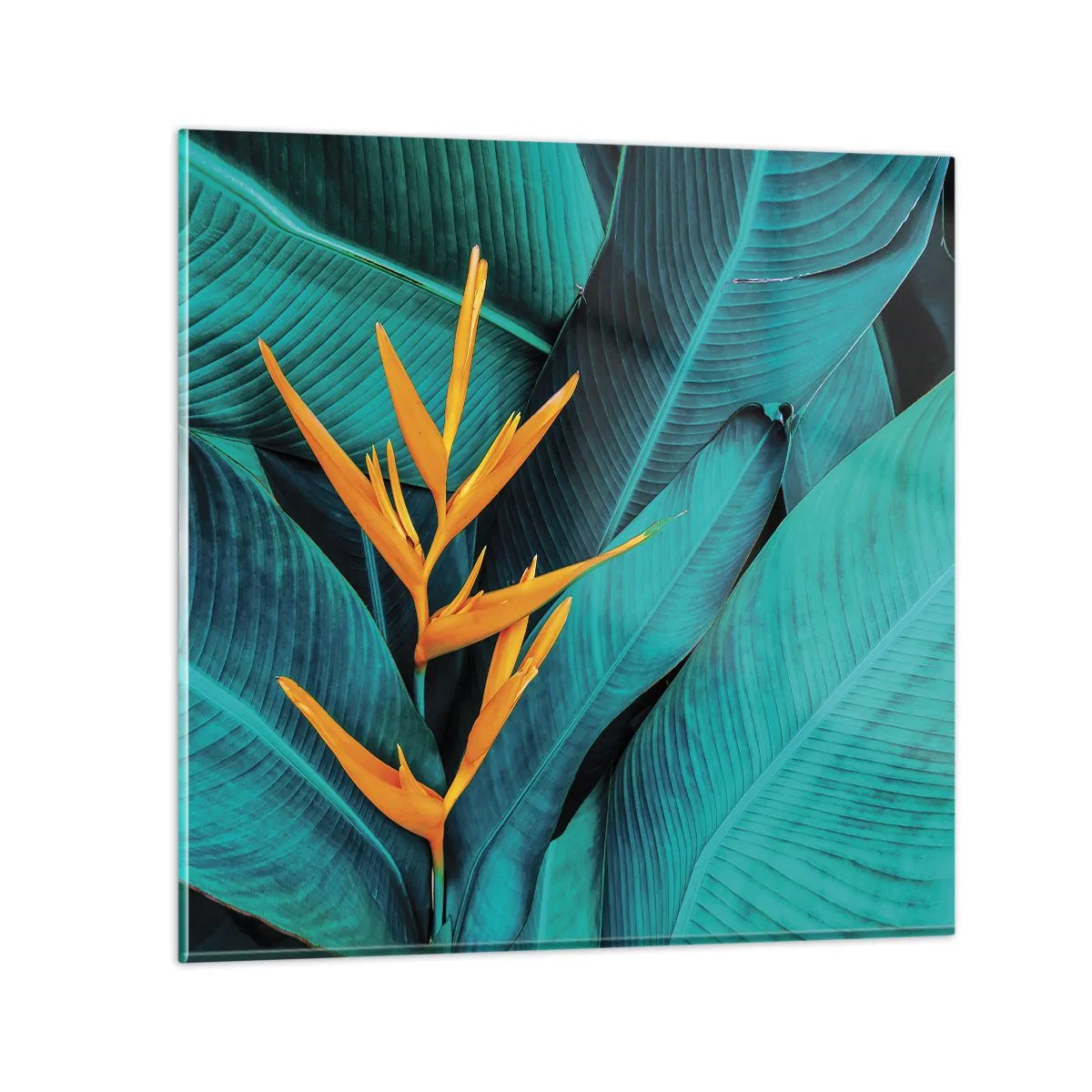 Quadro em vidro - Flor do Éden - 50x50 cm