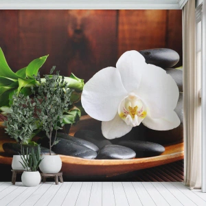 Papel de Parede Autocolante Deluxe Sticker - Renda-se ao toque da natureza - Flores, Orquídea, Orquídea - 100x70 cm