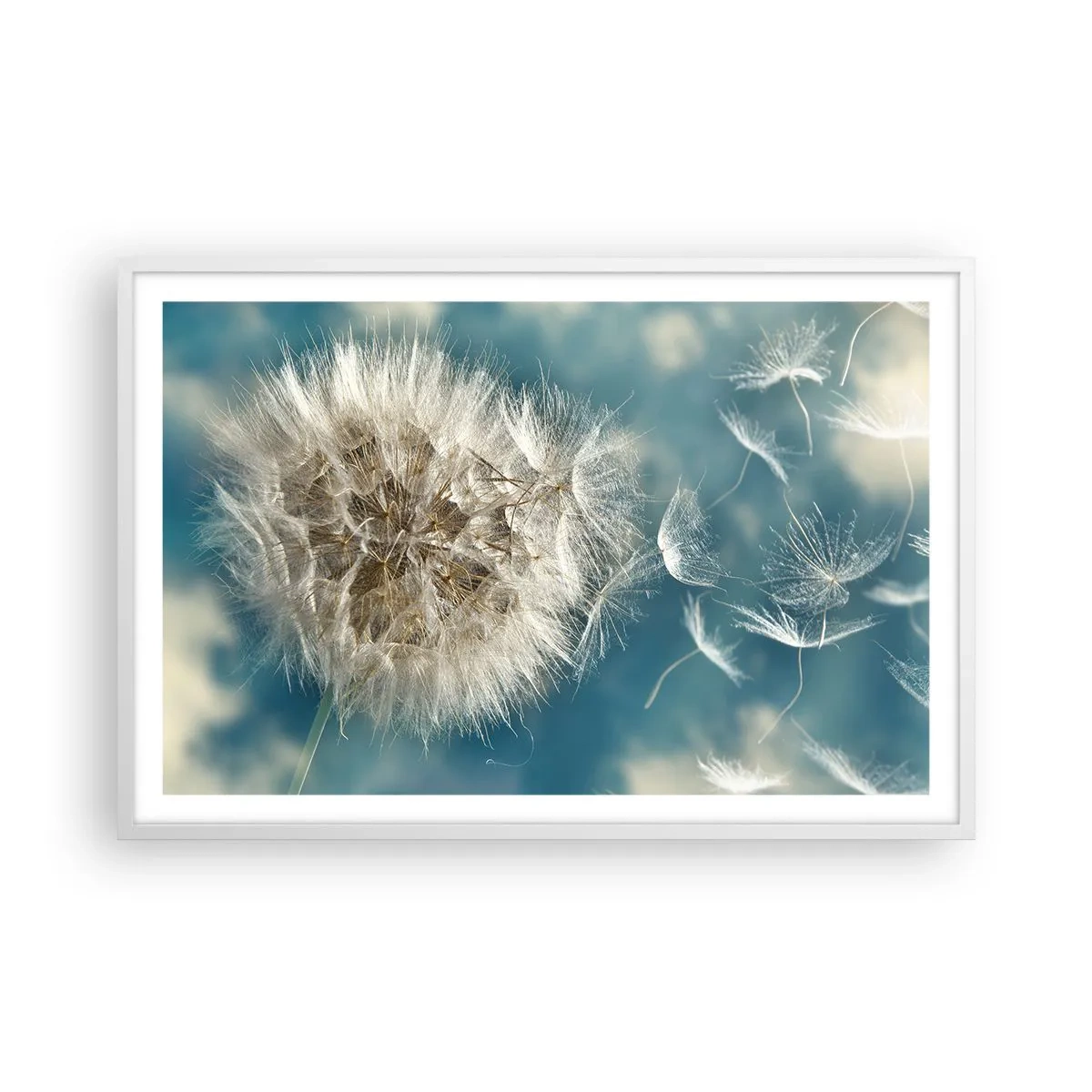 Pôster em moldura branca - Respiração de um anjo - 91x61 cm