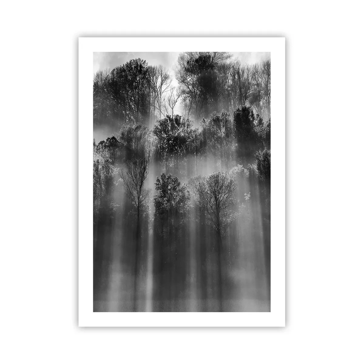Pôster - Em correntes de luz - 50x70 cm