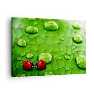 Quadro em tela - Duas joaninhas em uma folha com gotas de água em fotografia macro - 70x50cm - Reunião em verde - Decoração de parede moderna para a sala de estar e quarto ARTTOR