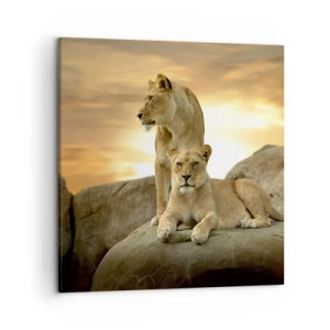 Quadro em tela - Majestade real - 50x50 cm