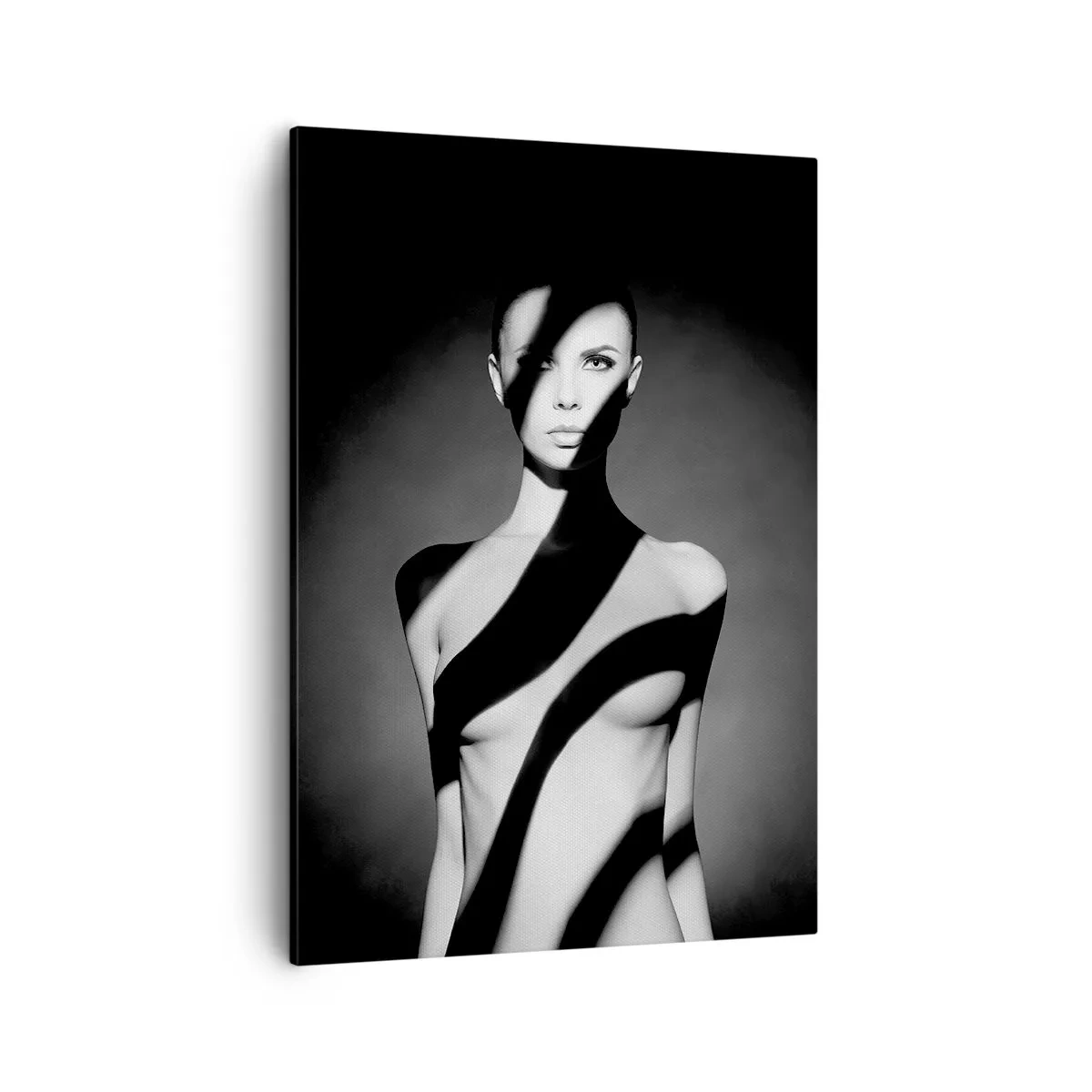 Quadro em tela - No brilho e na sombra - 50x70 cm