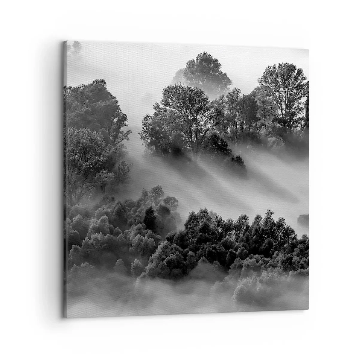 Quadro em tela - Levantar-se do sono - 50x50 cm