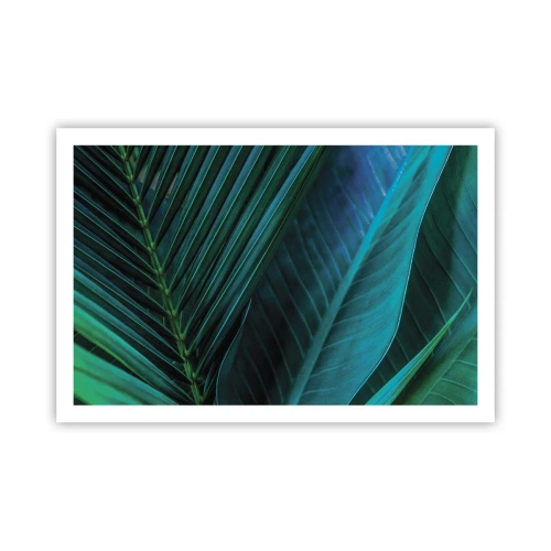 Pôster - Anatomia da vegetação - 91x61 cm