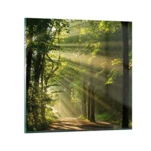 Quadro em vidro - Momento florestal - 70x70 cm