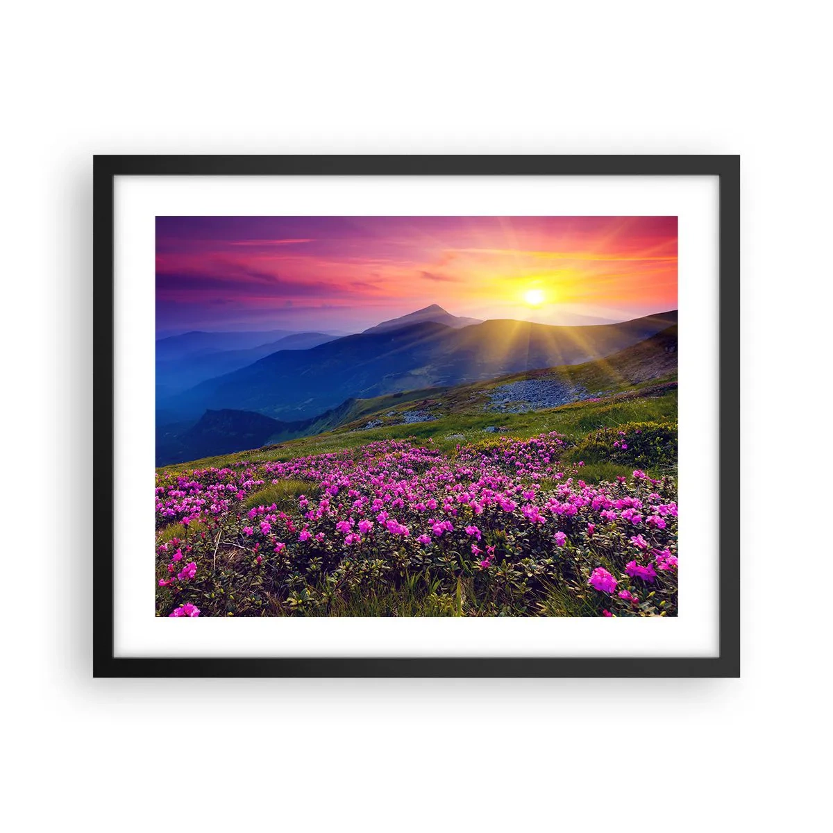 Pôster com moldura preta - …Cheiro de pinheiros e ervas da montanha - 50x40 cm