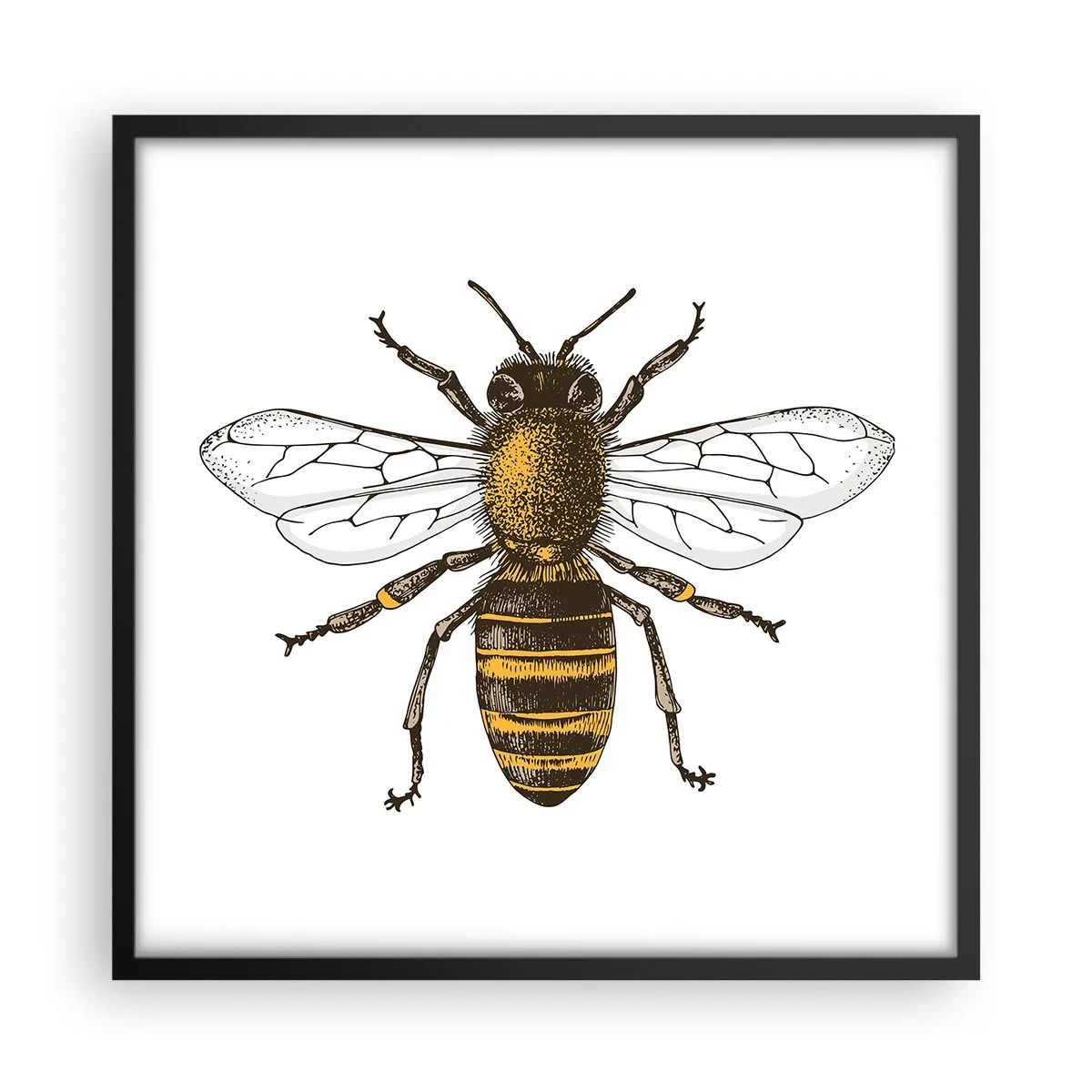 Pôster com moldura preta - Linda e boa - 50x50 cm