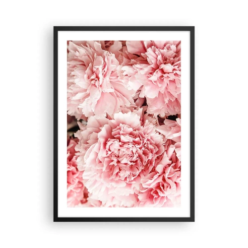 Pôster com moldura preta - Delicadas peônias rosas em plena floração - 50x70cm - Sonho rosa - Decoração de parede moderna para a sala de estar e quarto ARTTOR