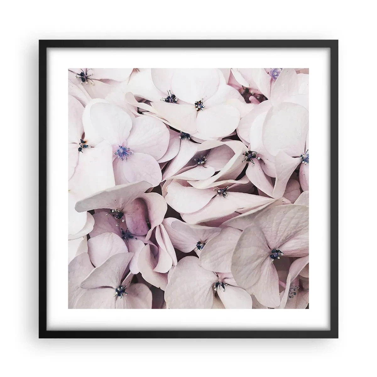 Pôster com moldura preta - Em uma inundação de flores - 50x50 cm