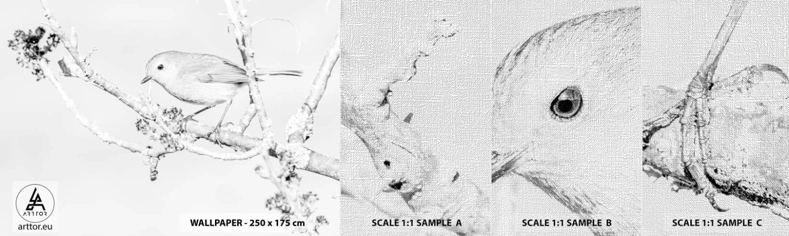 Amostra de papel de parede Premium Canvas - Manhã de inverno - Brilhante, Pássaro, Natureza - 100x30 cm