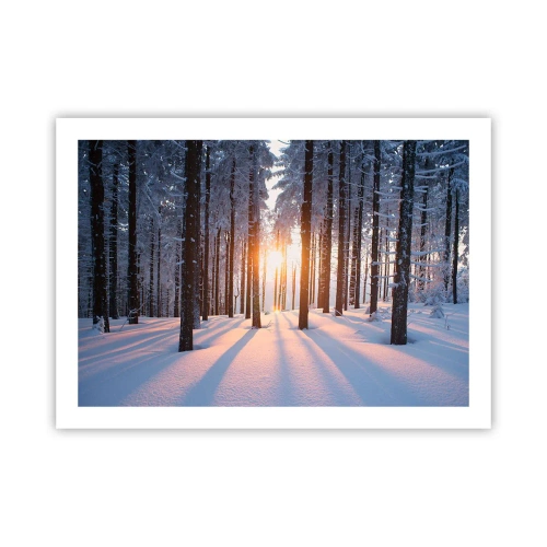 Pôster - Preto no branco - 70x50 cm