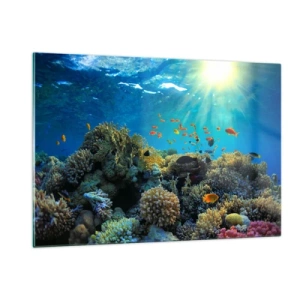 Quadro em vidro - Tesouros subaquáticos - 120x80 cm
