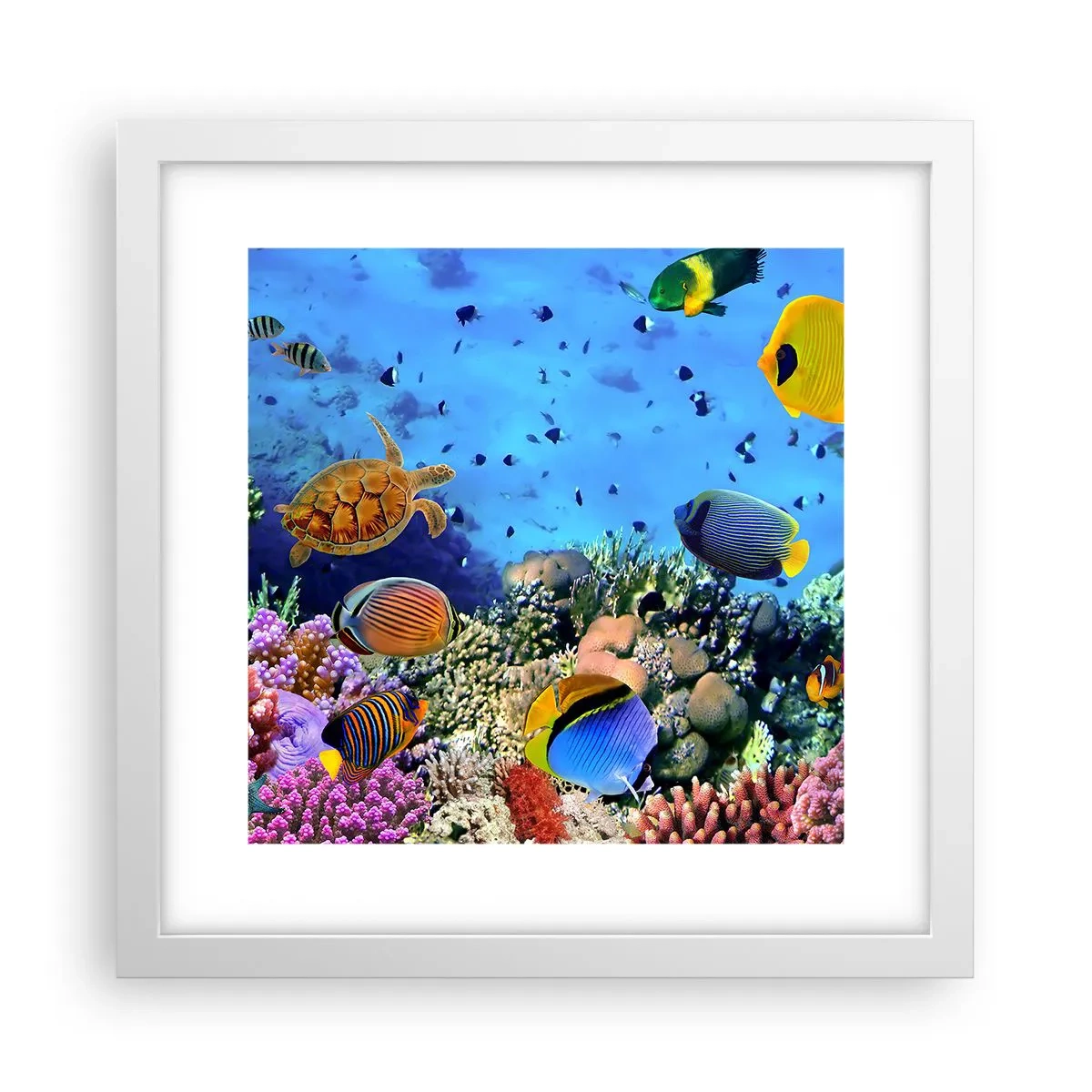 Pôster em moldura branca - E o que sabemos sobre a vida... - 30x30 cm