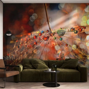 Papel de Parede Premium Canvas - Enroscado numa teia de aranha - Abstração, teia de aranha, Pedaço - 200x140 cm