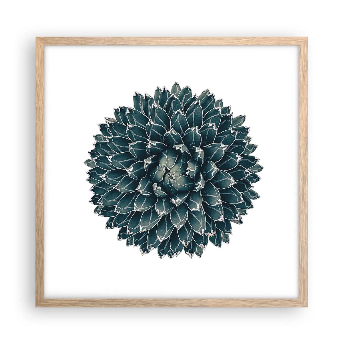 Pôster com moldura de carvalho claro - Estrela do Deserto - 50x50 cm