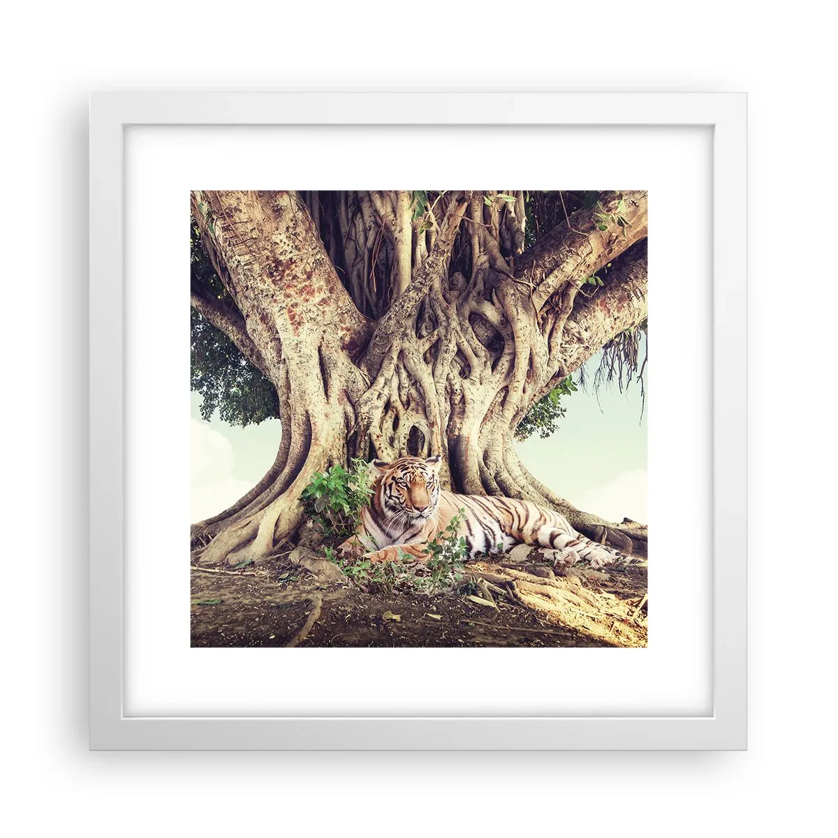 Pôster em moldura branca - Vista do livro de Gênesis - 30x30 cm