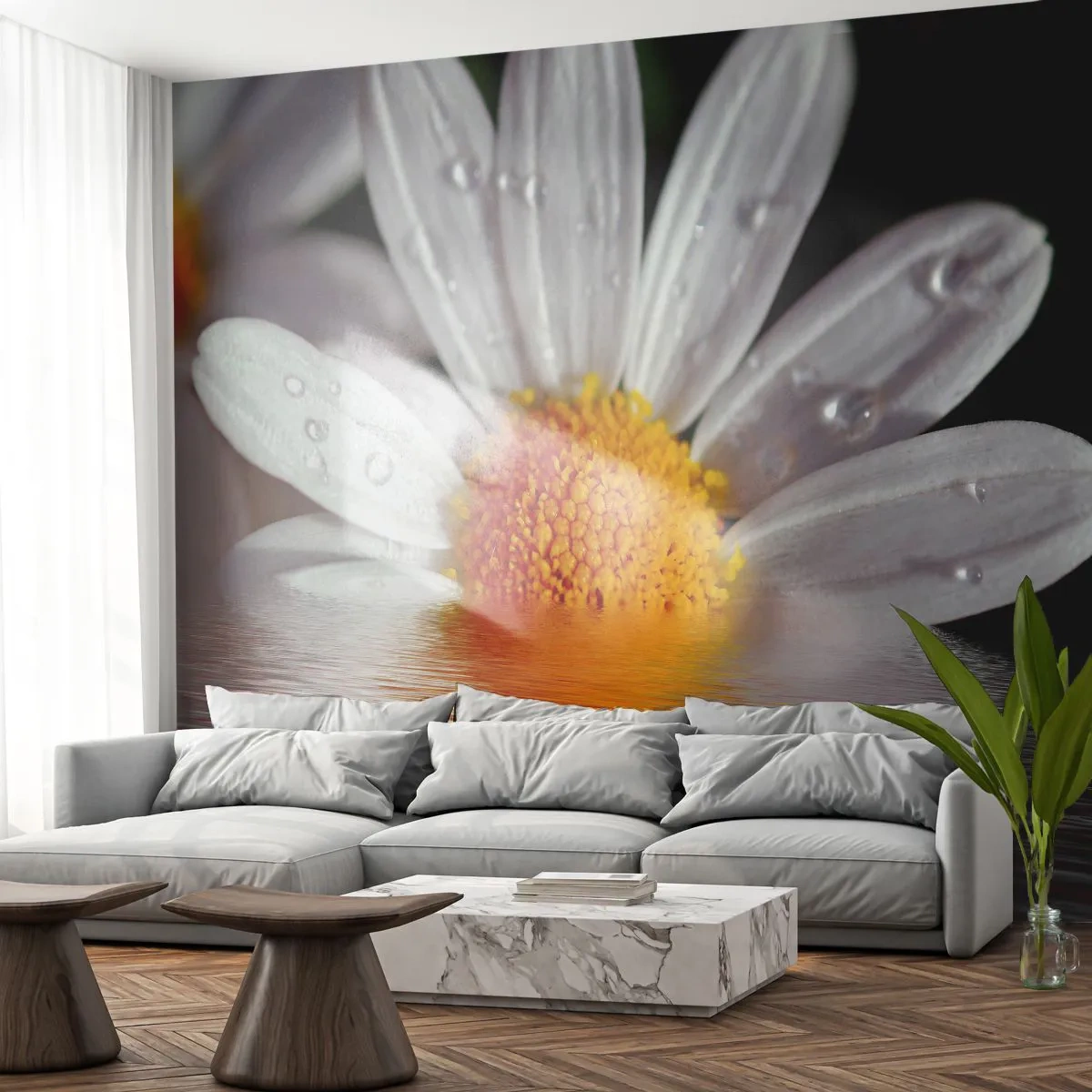 Papel de Parede Standard Eco - As margaridas do sol nascente - Flor, Camomila, Natureza - 150x105 cm