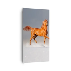 Quadro em tela - Graça Dançante - 65x120 cm