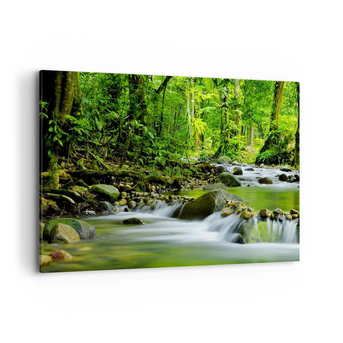 Quadro em tela - Navegar no mar de vegetação - 100x70 cm