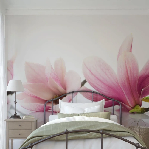 Papel de Parede Premium Sand - Suave como um sopro de primavera - Flor, Magnólia, Natureza - 200x140 cm