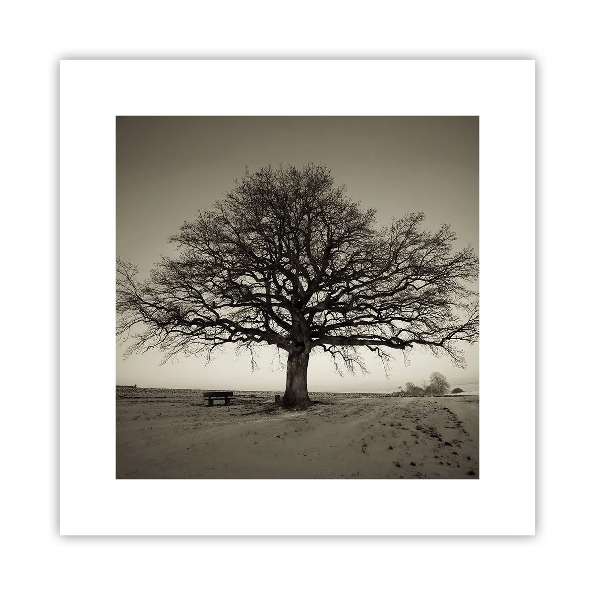 Pôster - Daqui para a eternidade - 30x30 cm