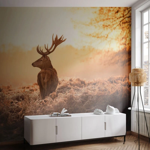Papel de Parede Premium Sand - O senhor da propriedade - Paisagem, Cervo, Animais - 100x70 cm